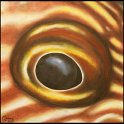 Augenblick eines arabischen Kardinalbarsches Acryl auf Leinwand;
30 x 30 cm